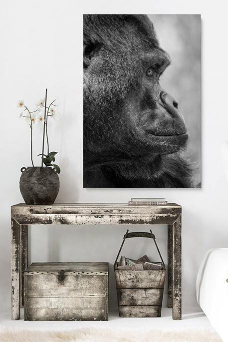 Gorilla Side View