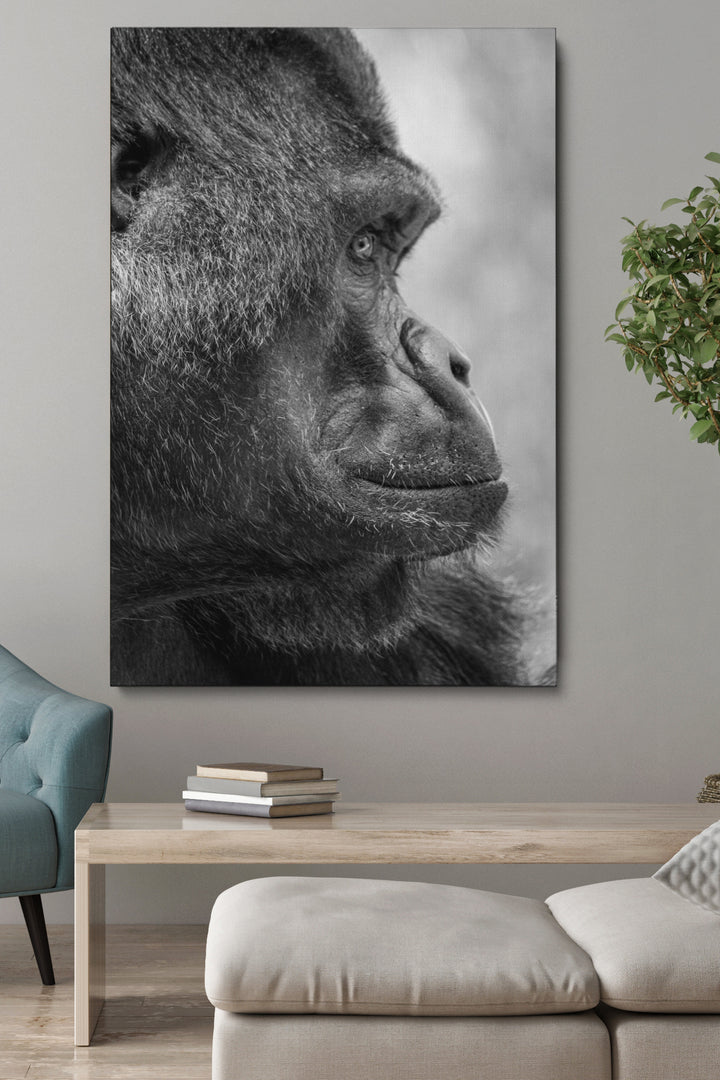 Gorilla Side View