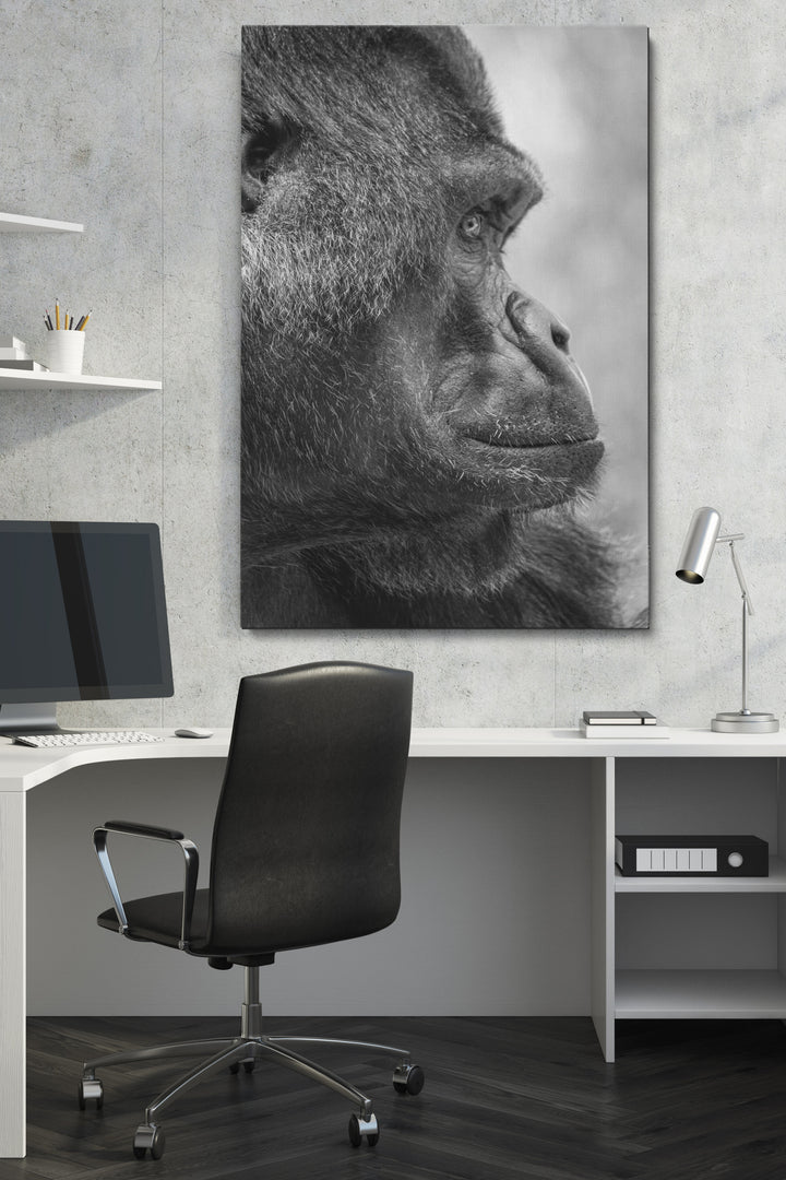 Gorilla Side View
