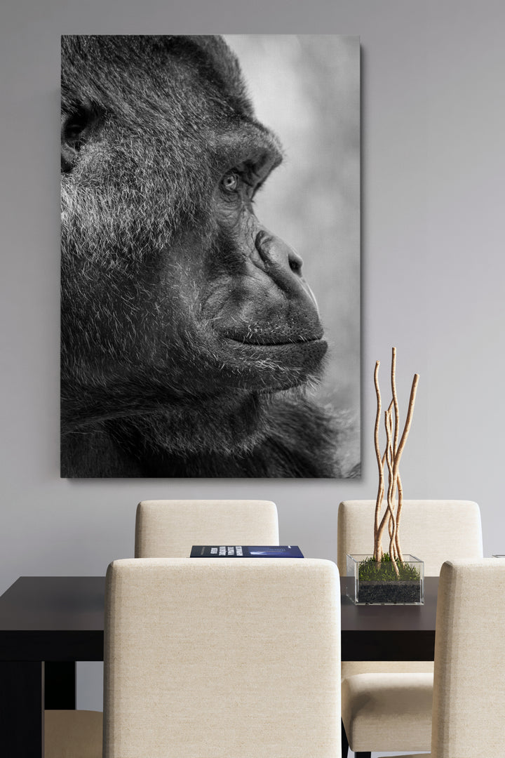 Gorilla Side View