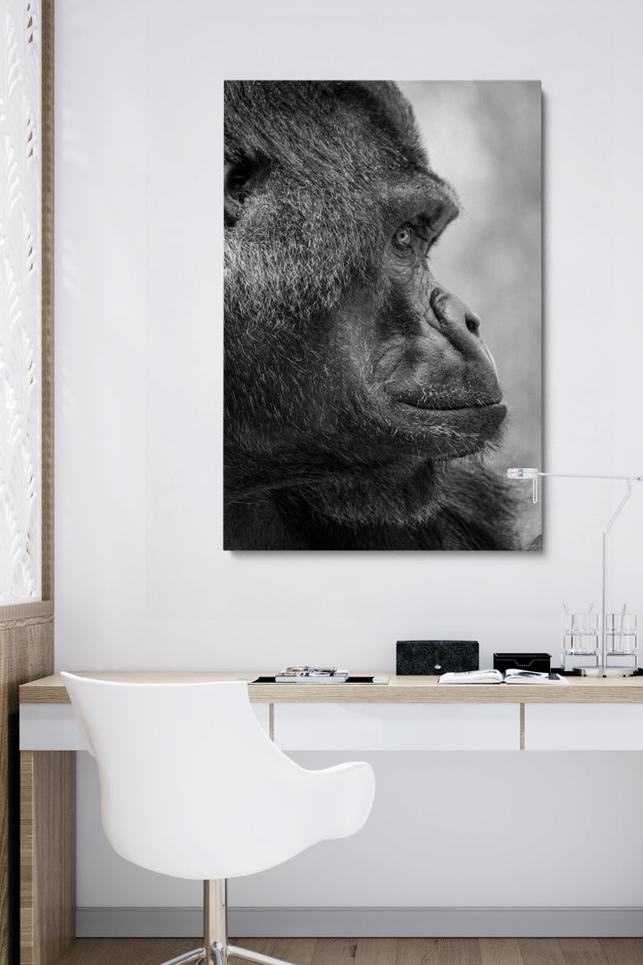 Gorilla Side View