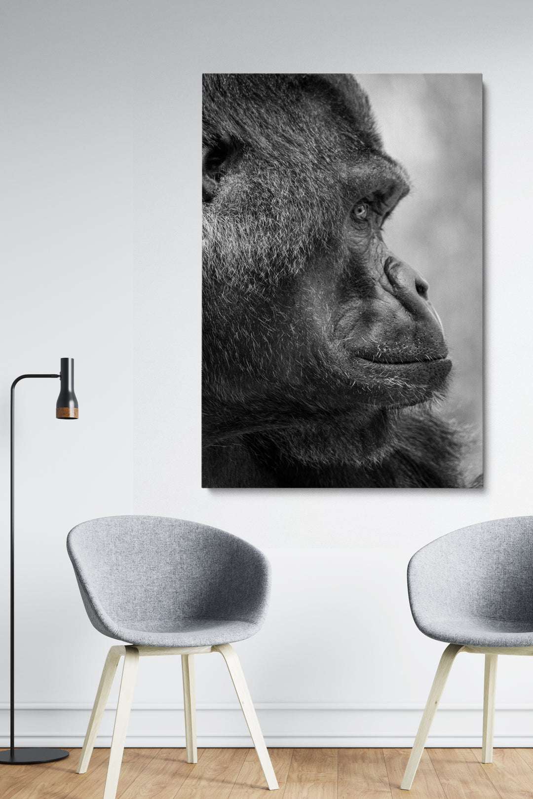 Gorilla Side View