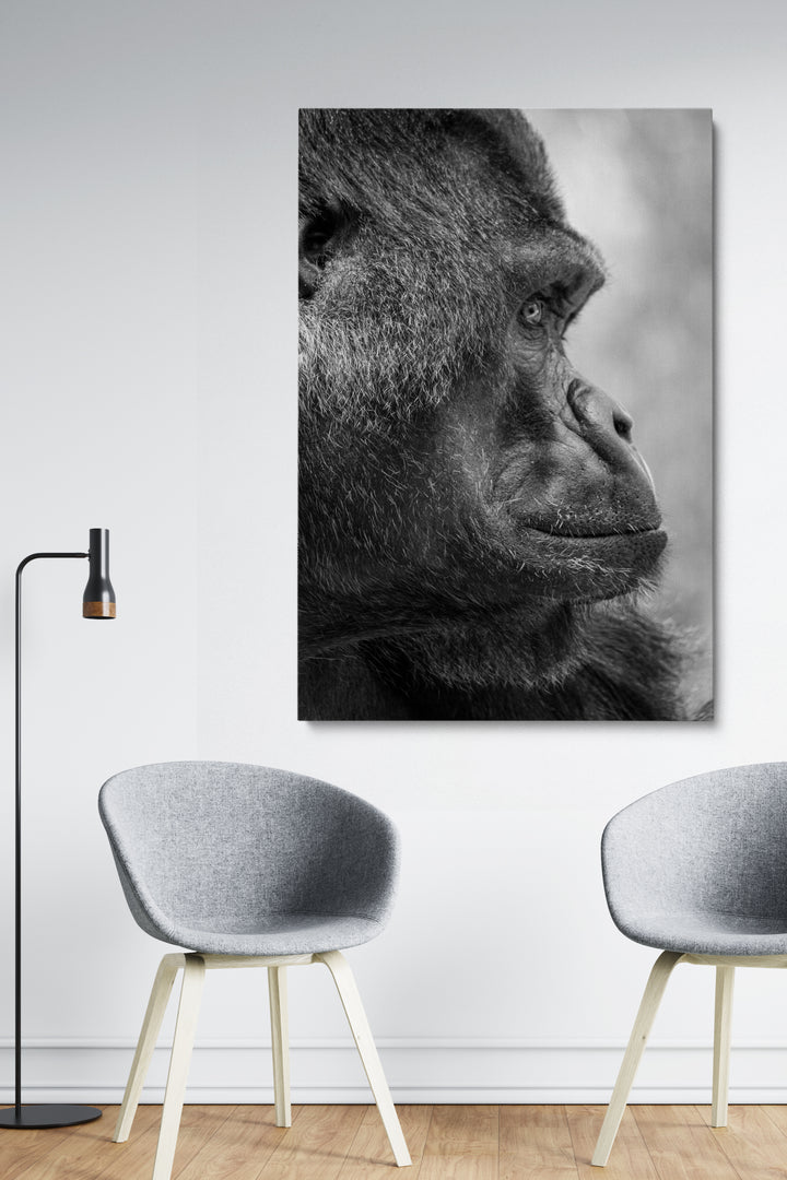 Gorilla Side View