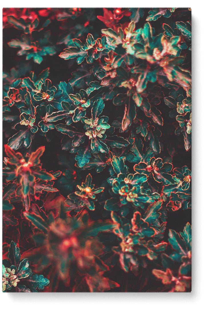 Green & Red Flowers