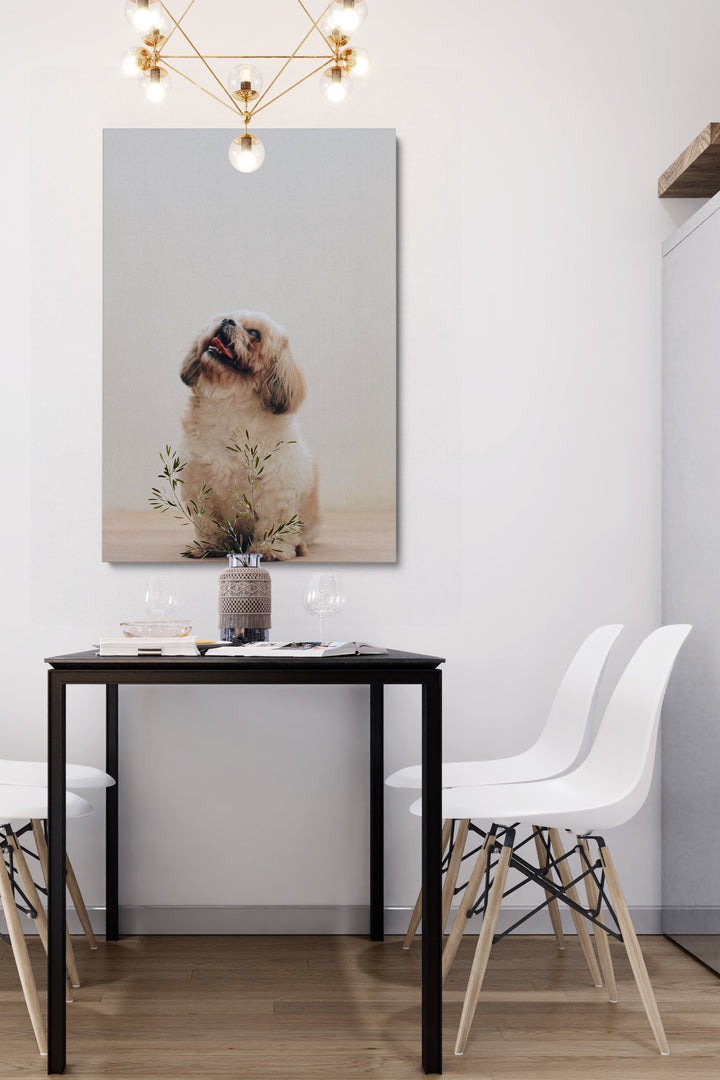 Glücklicher kleiner Hund