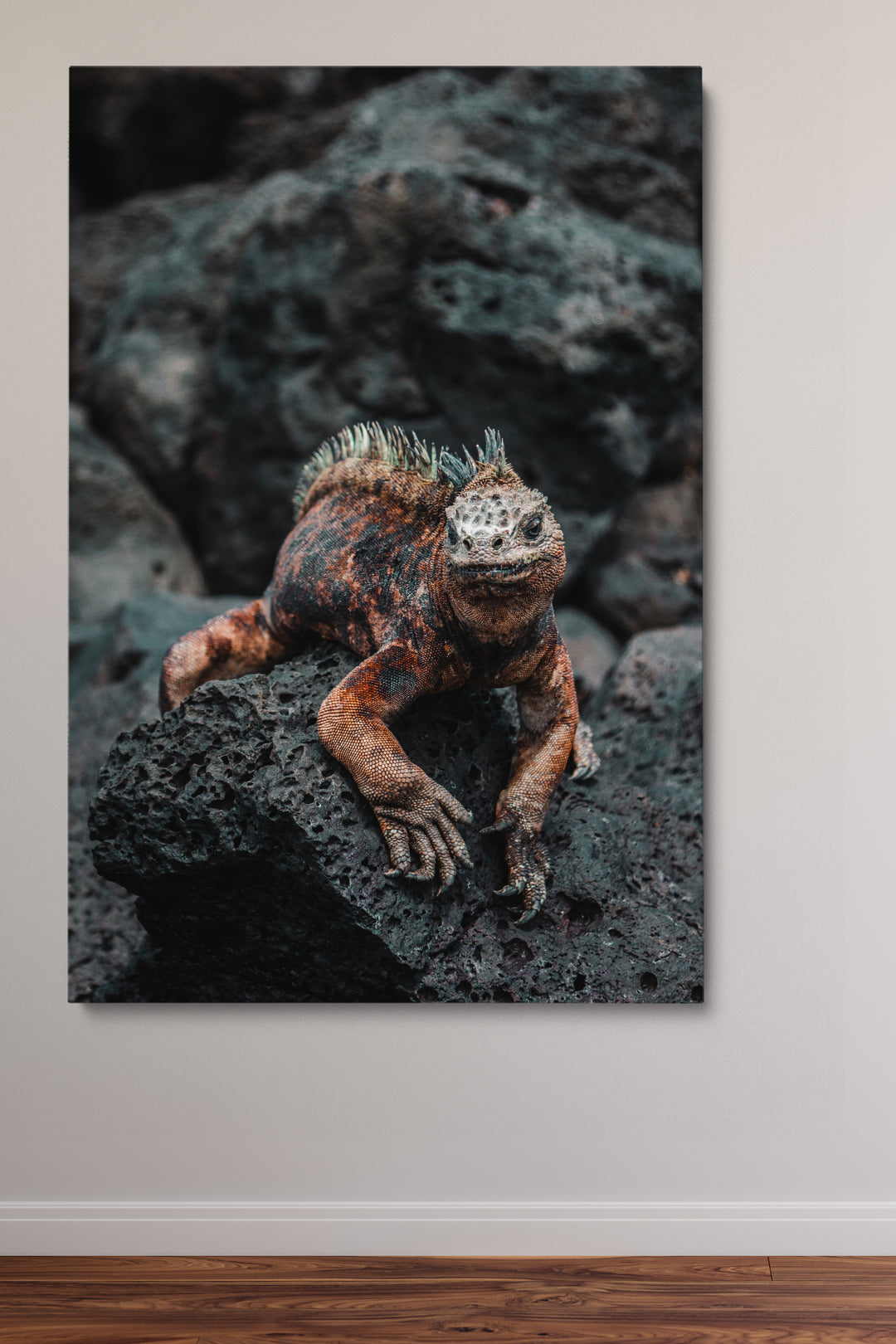 Lizard On A Rock