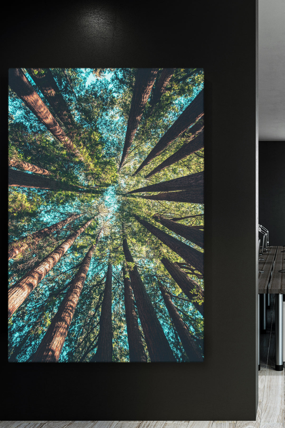 Looking Up Forest