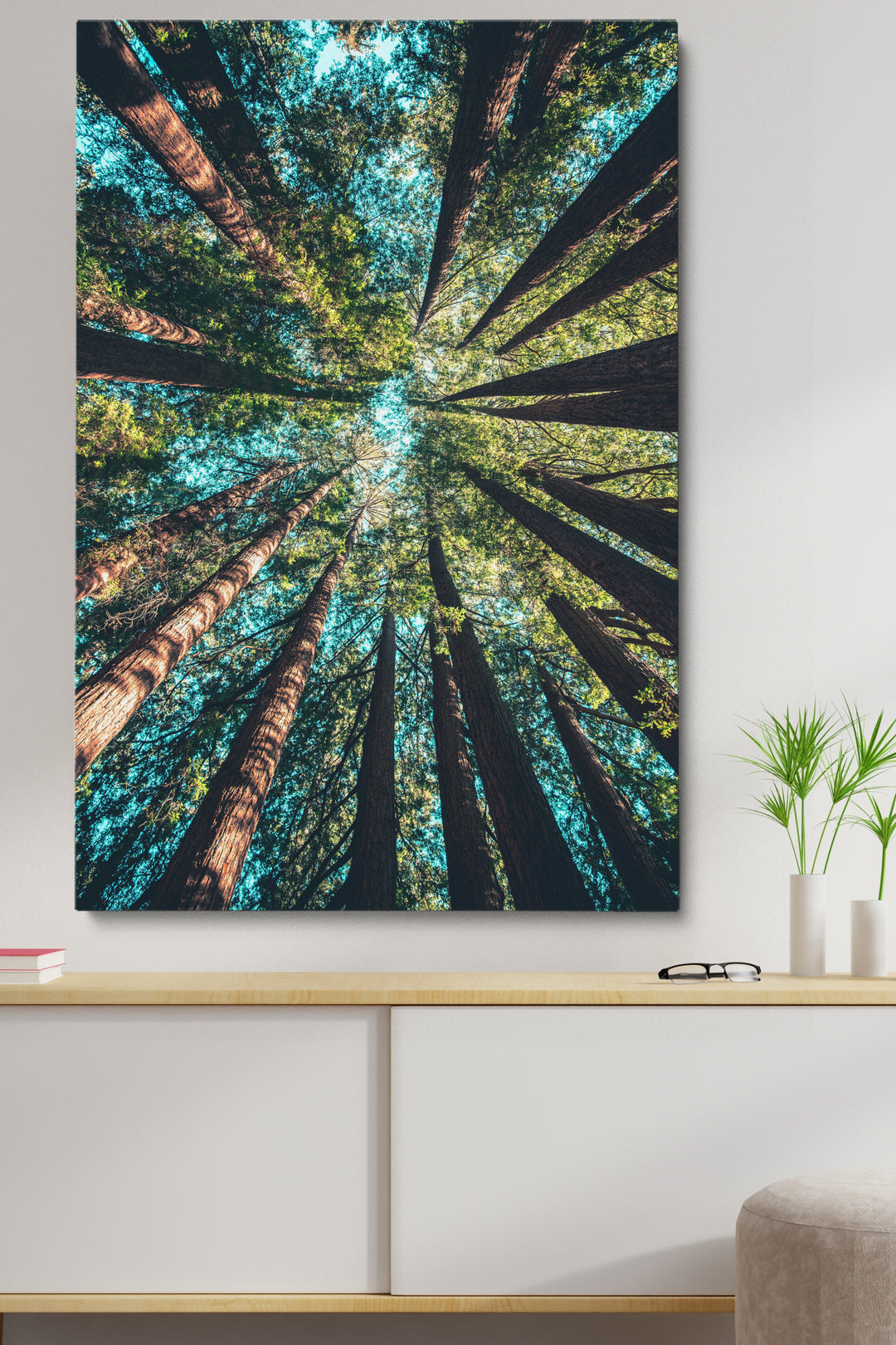 Looking Up Forest