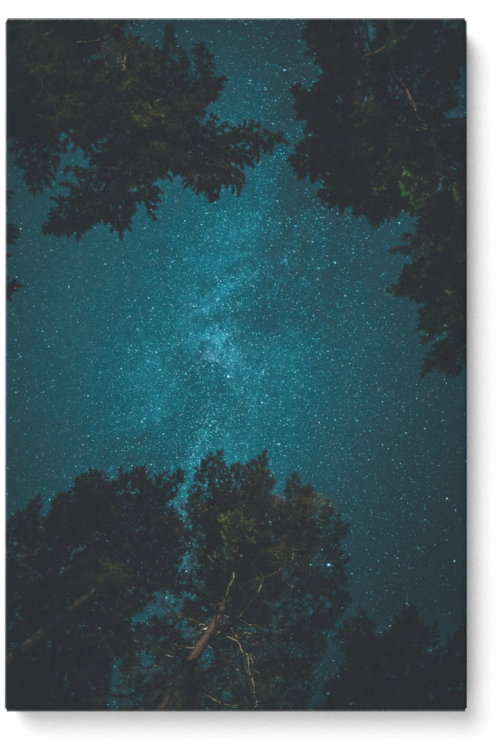 Looking Up Stars