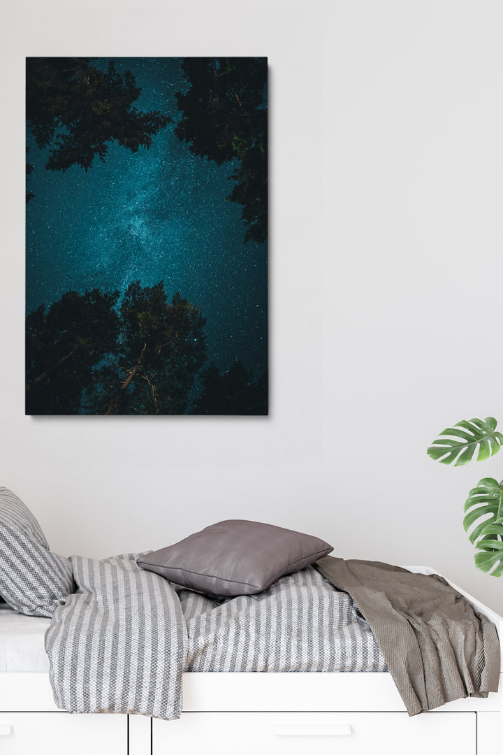 Looking Up Stars