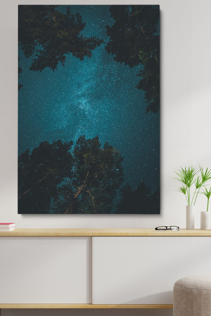 Looking Up Stars