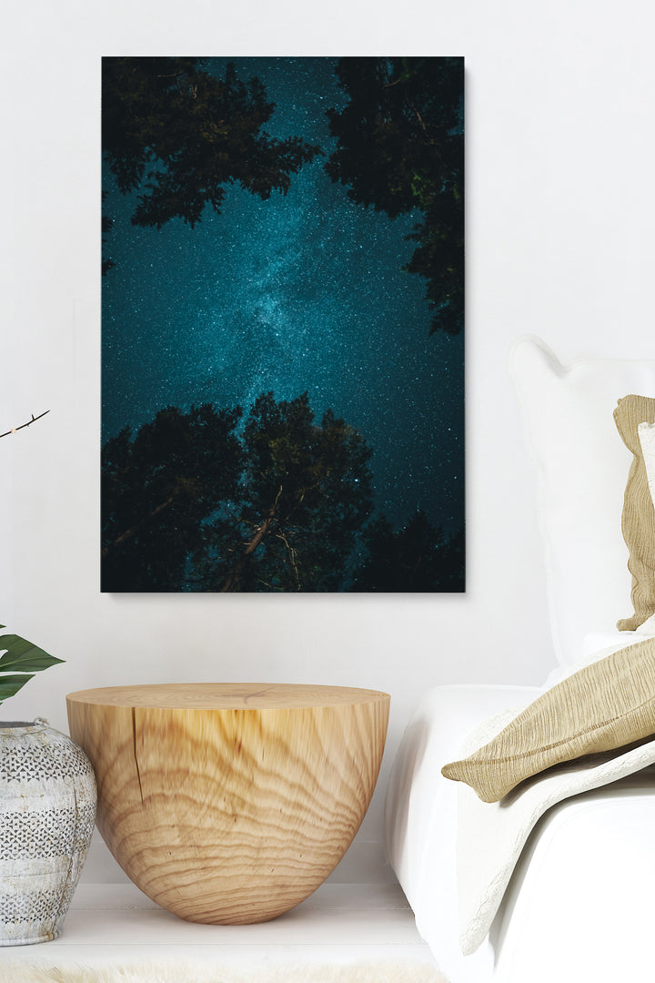 Looking Up Stars