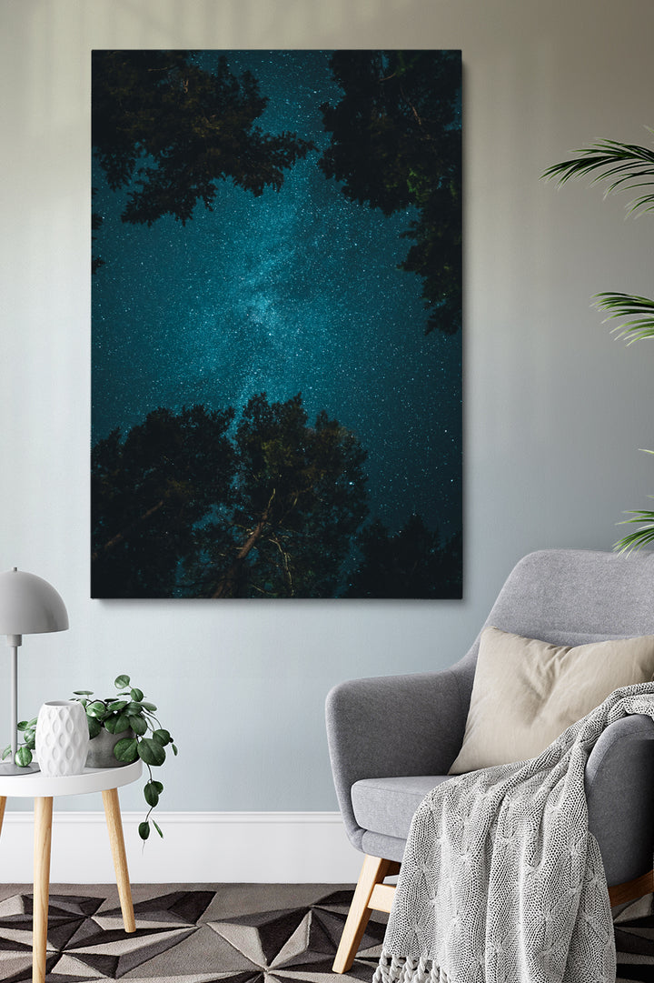 Looking Up Stars