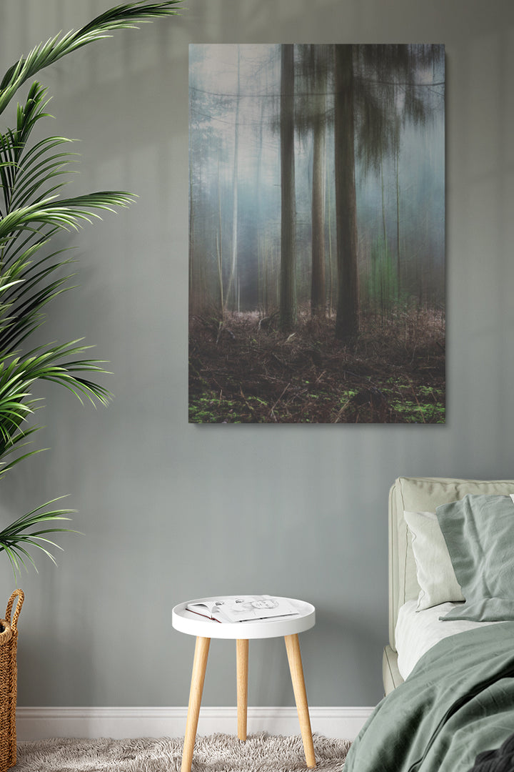Misty Forest