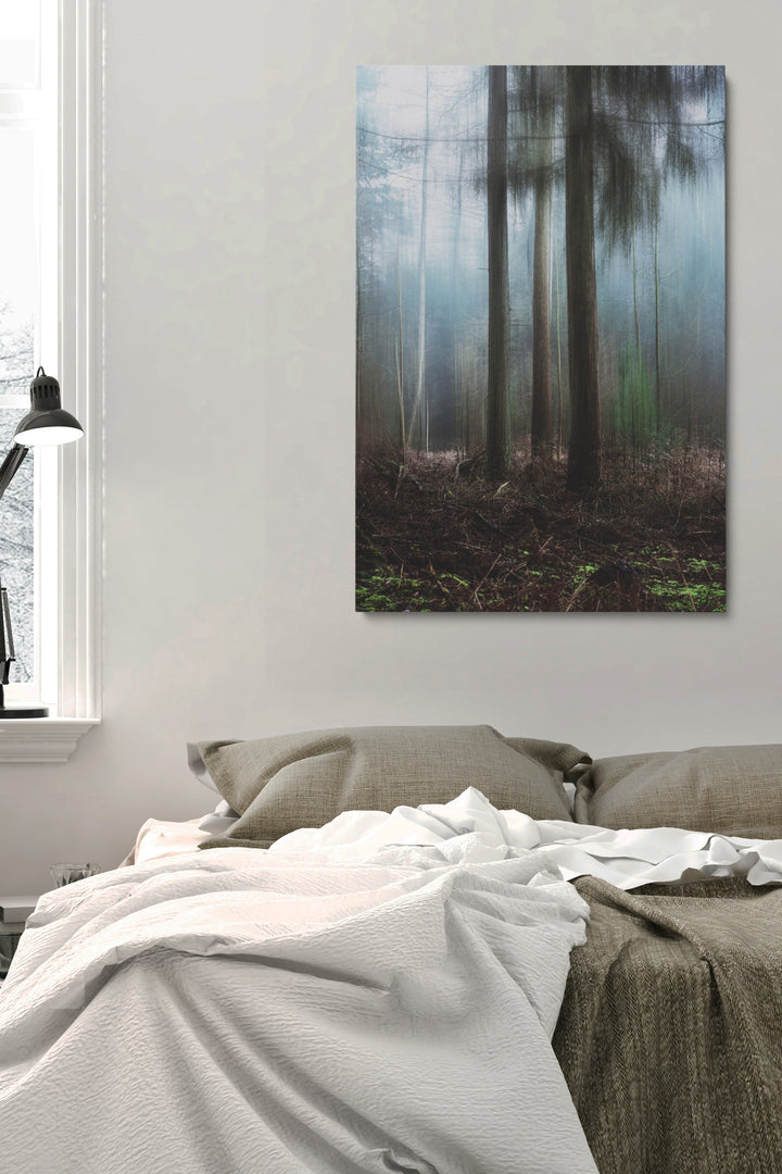 Misty Forest