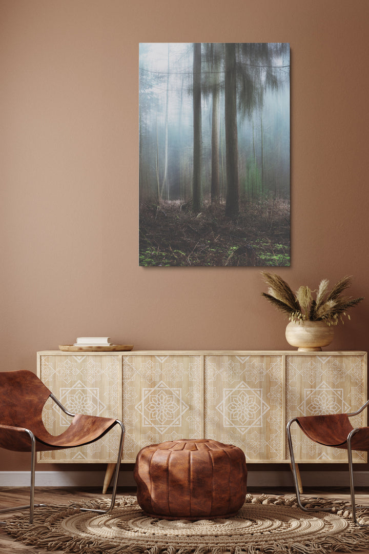 Misty Forest
