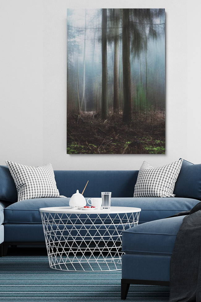 Misty Forest