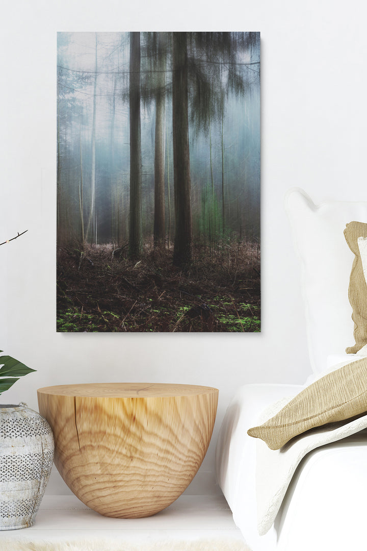 Misty Forest