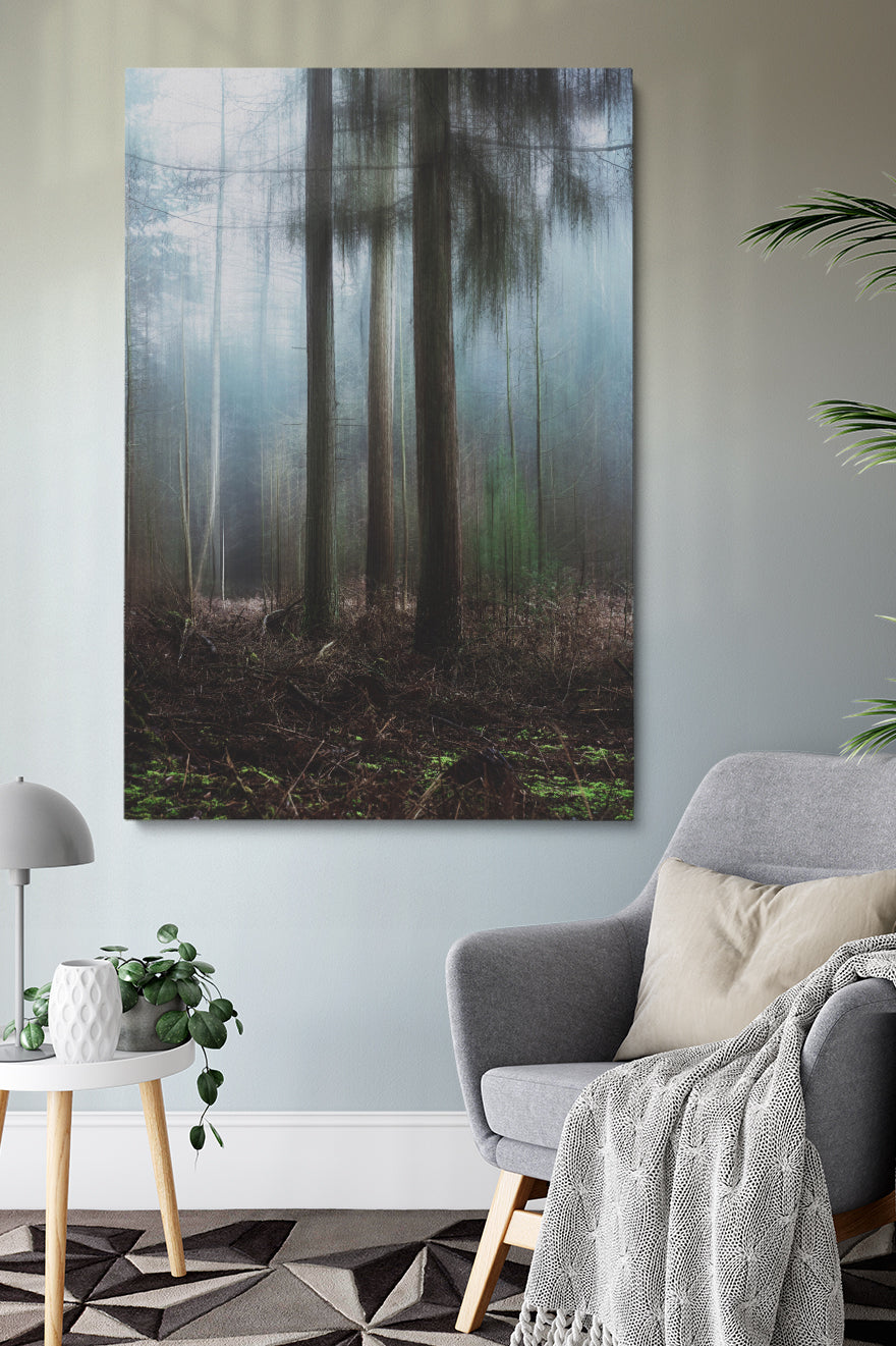 Misty Forest