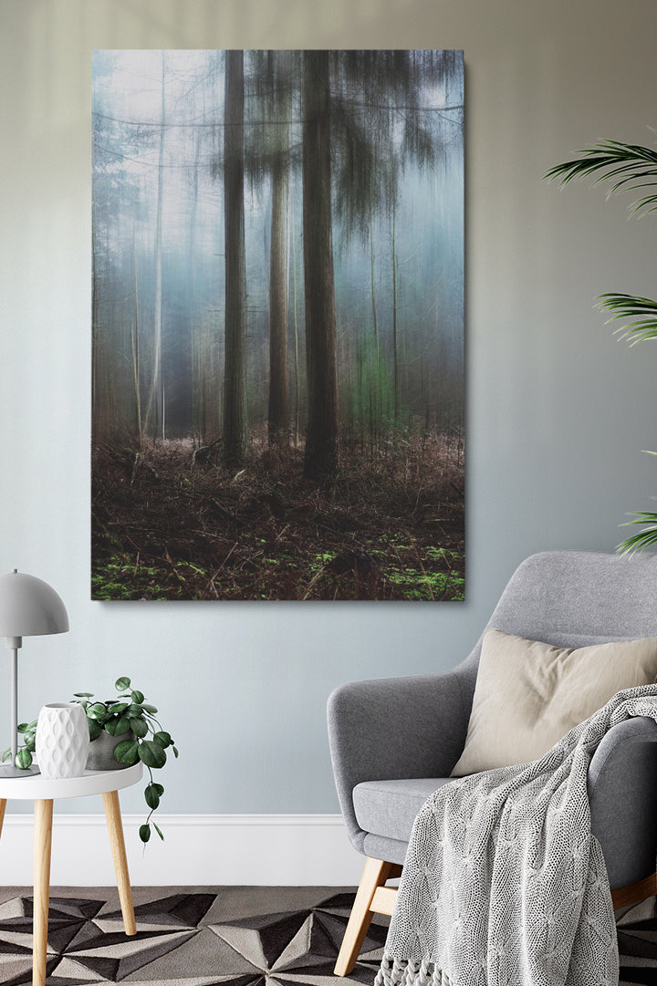 Misty Forest