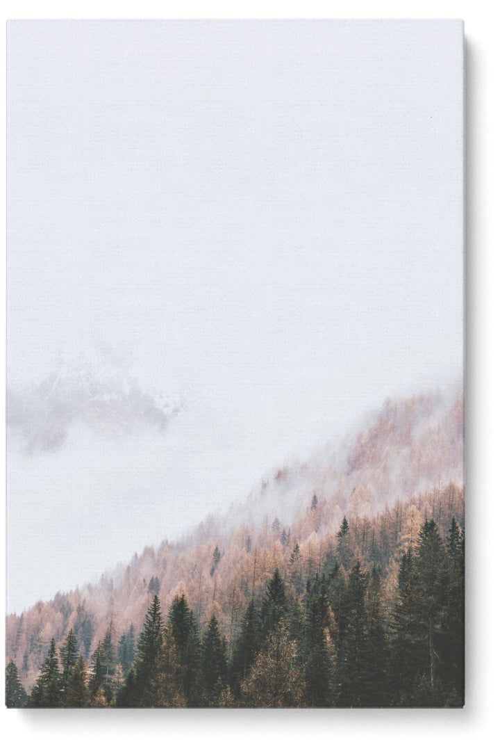 Misty Over Trees