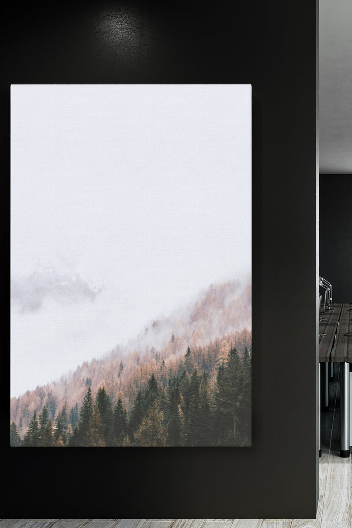 Misty Over Trees