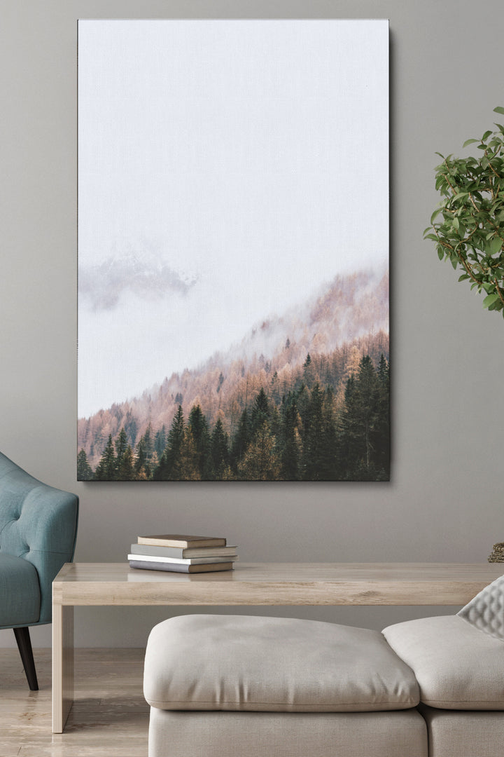 Misty Over Trees