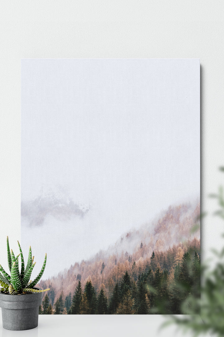 Misty Over Trees
