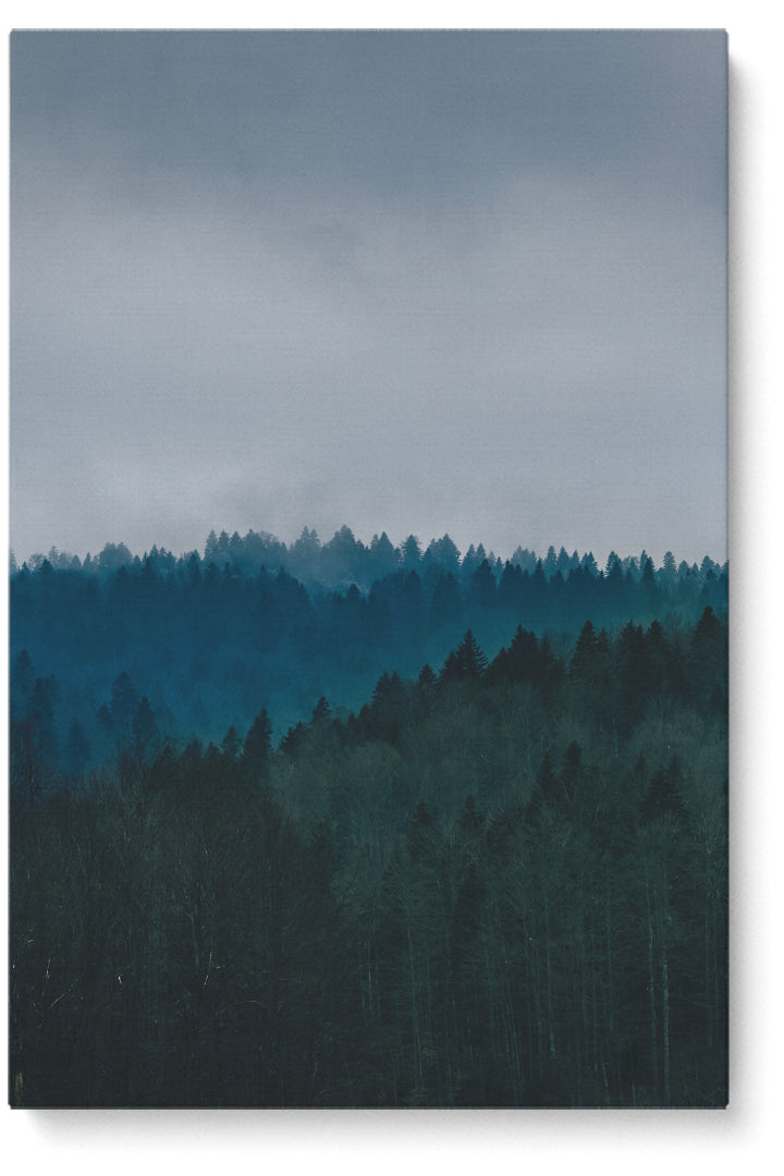 Nature Trees