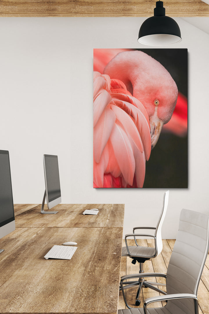 Rosa Flamingo