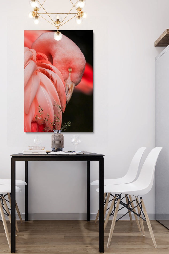 Rosa Flamingo