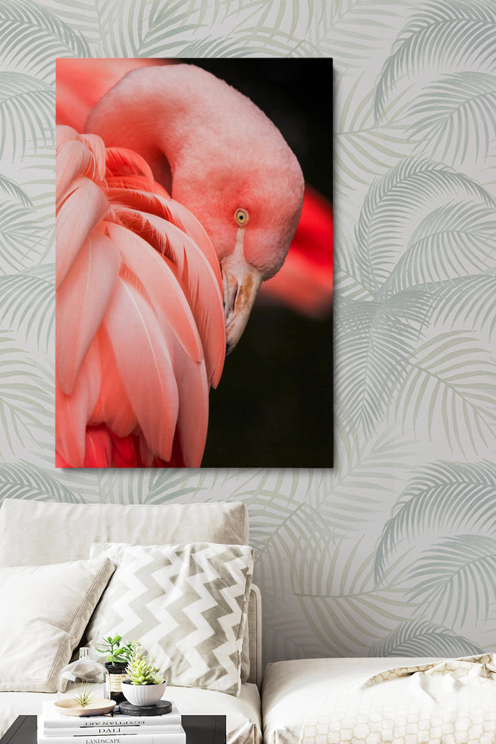 Rosa Flamingo