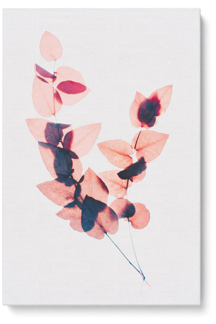 Pink Flowers Motive