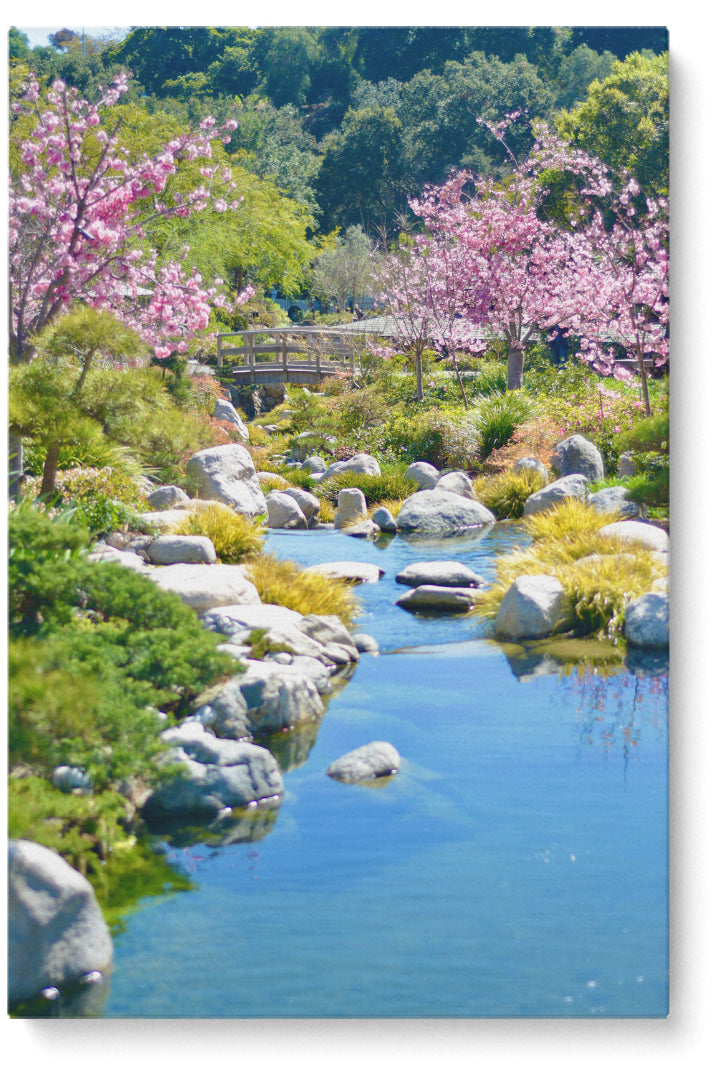 Pink Trees And Cute Bridge