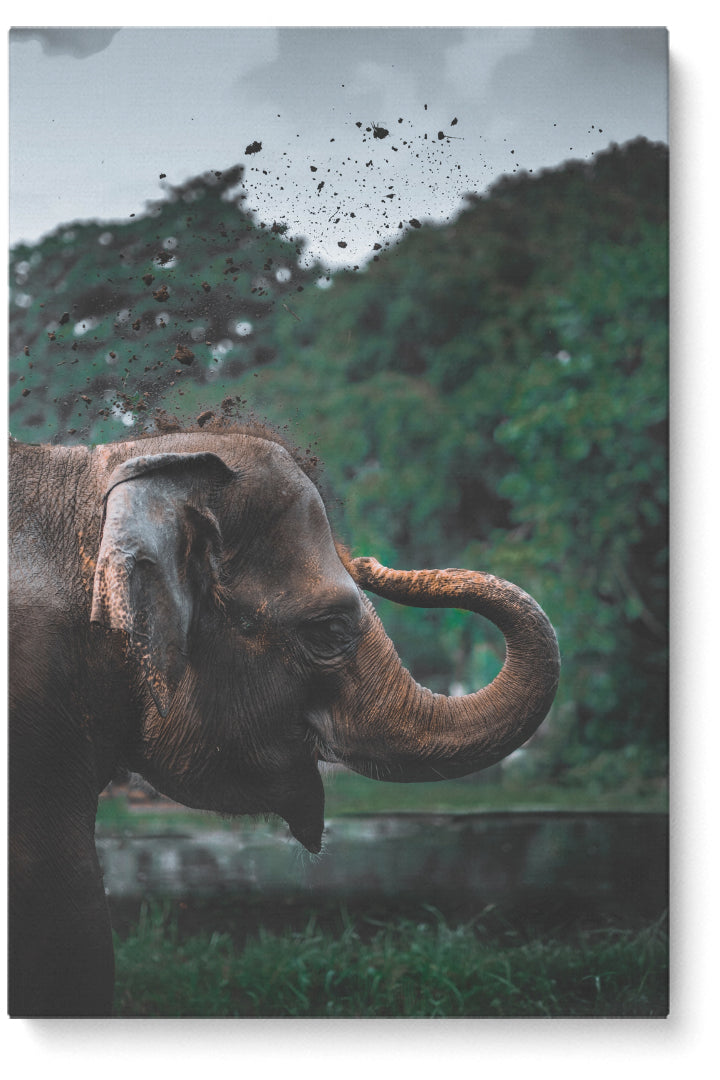 Verspielter Elefant