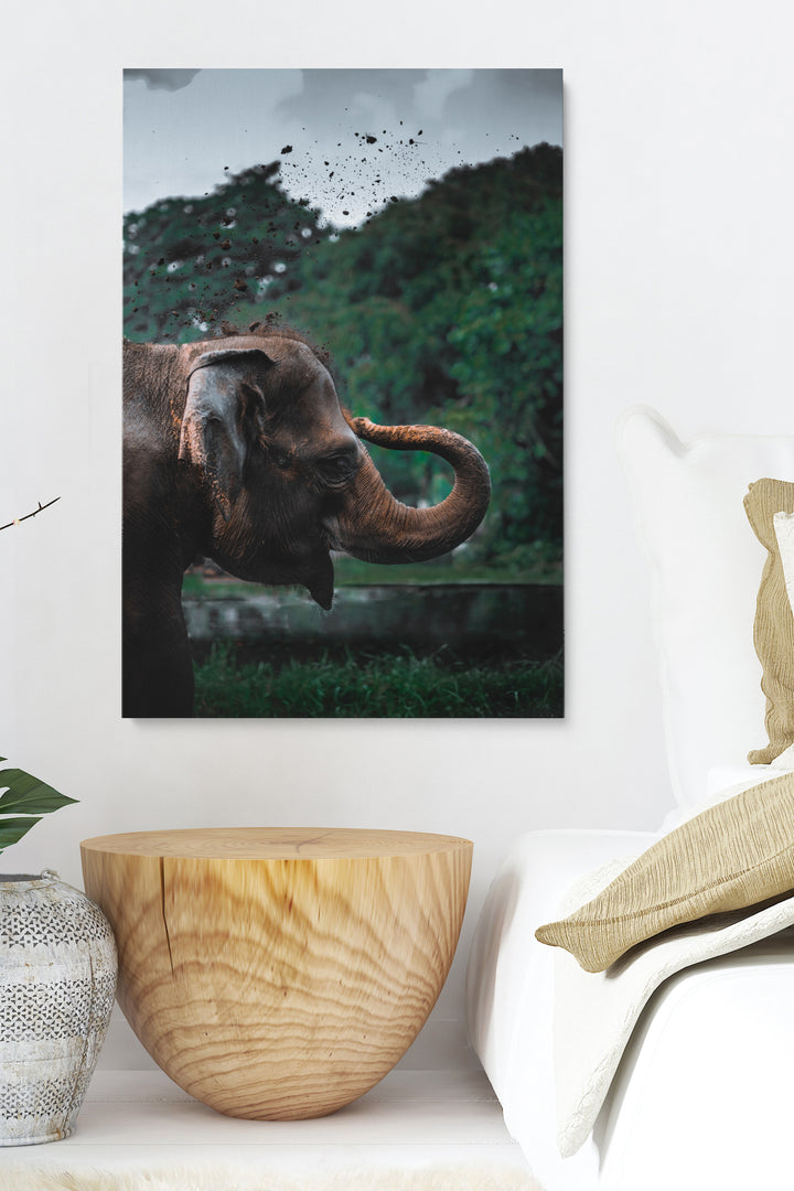 Verspielter Elefant