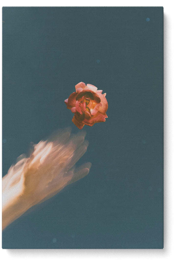 Rose &amp; Hand