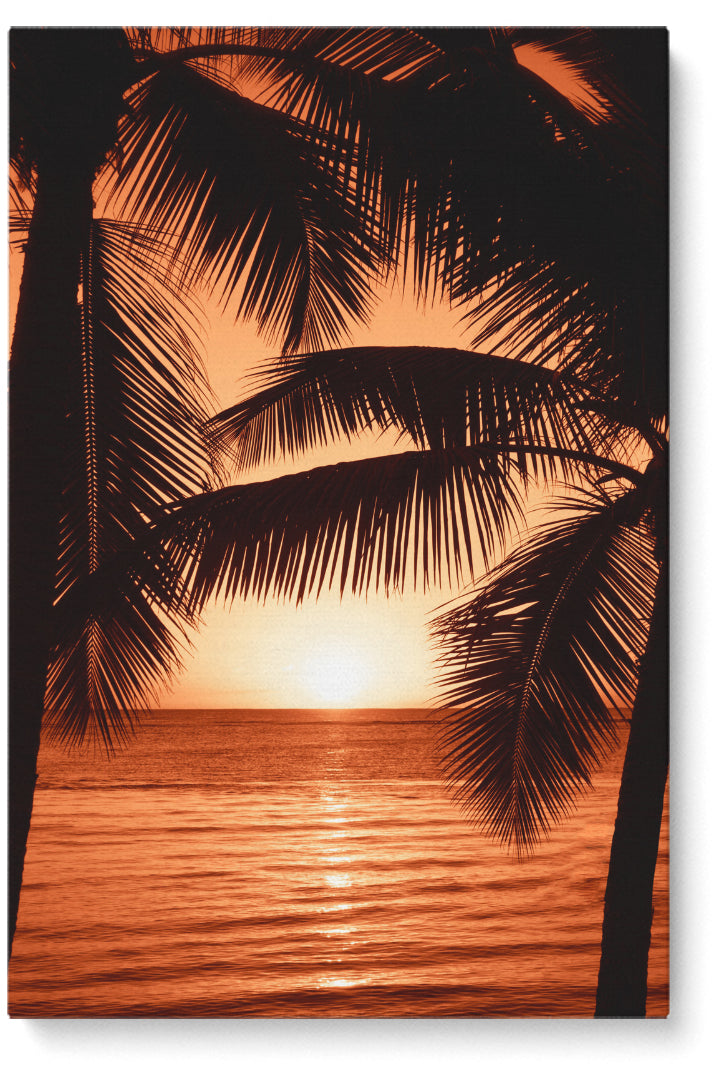 Sonnenuntergang Palmen