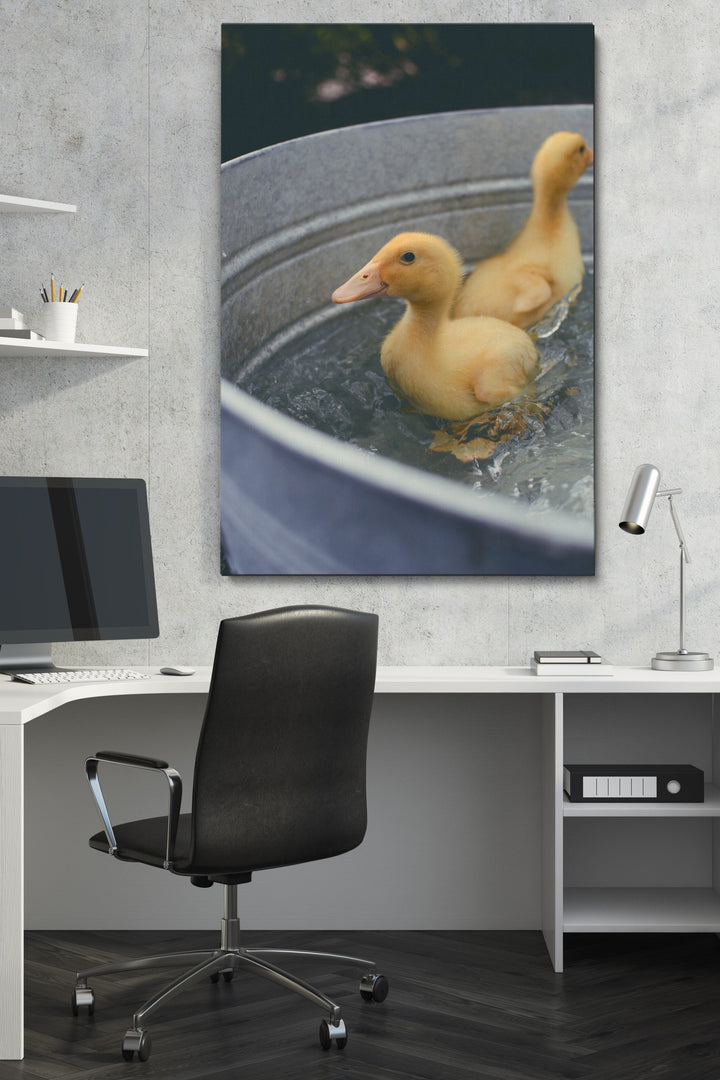 Schwimmende Enten