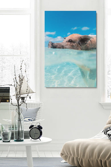 Swimming Pig