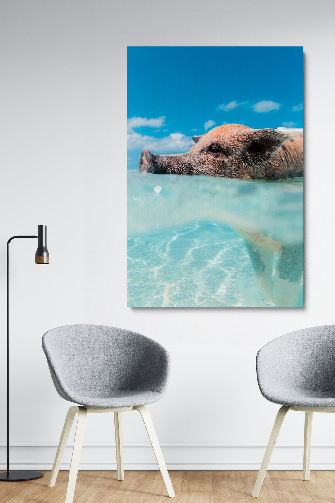 Swimming Pig
