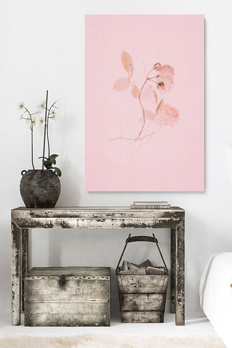 The Pink Rose