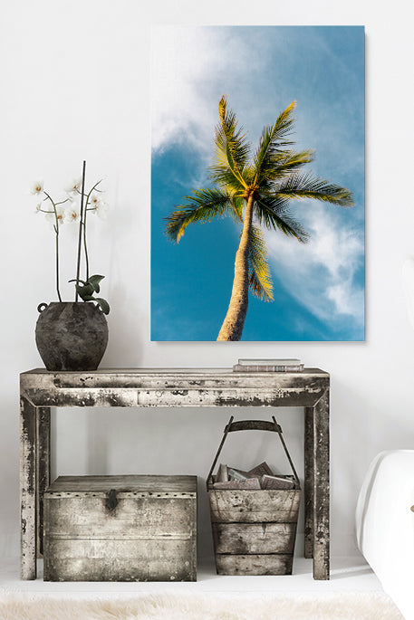 Unter der Palme