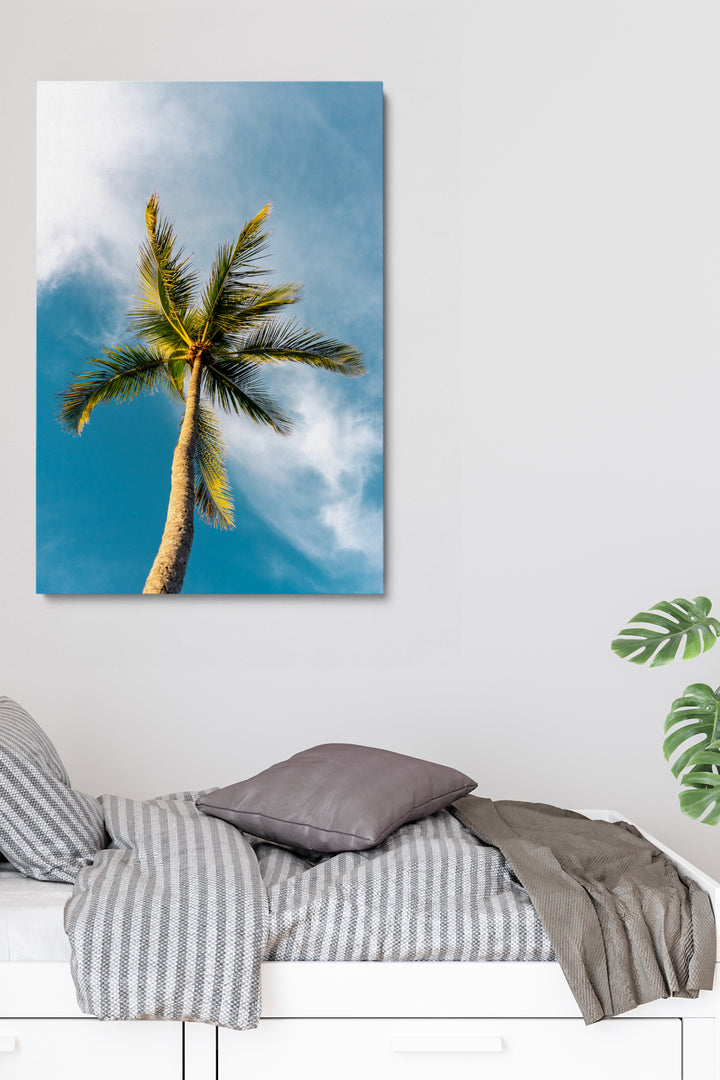 Unter der Palme