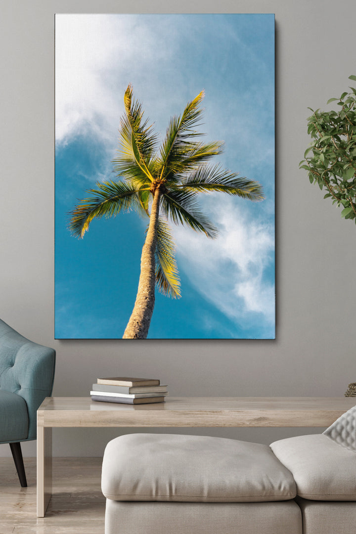 Unter der Palme