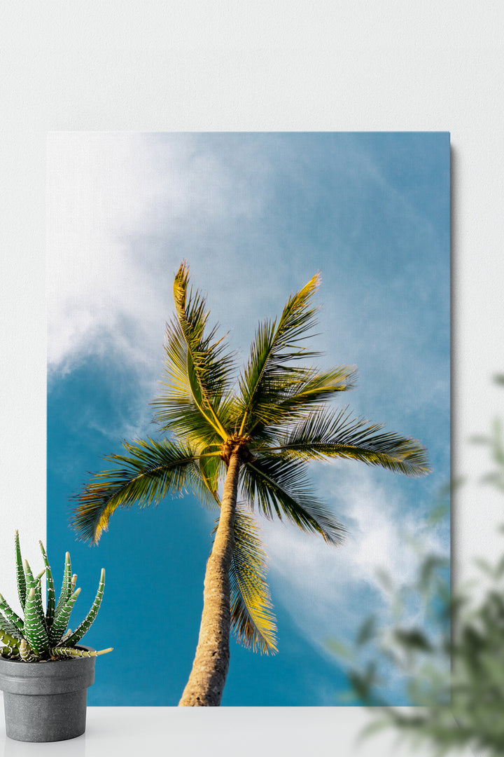 Unter der Palme