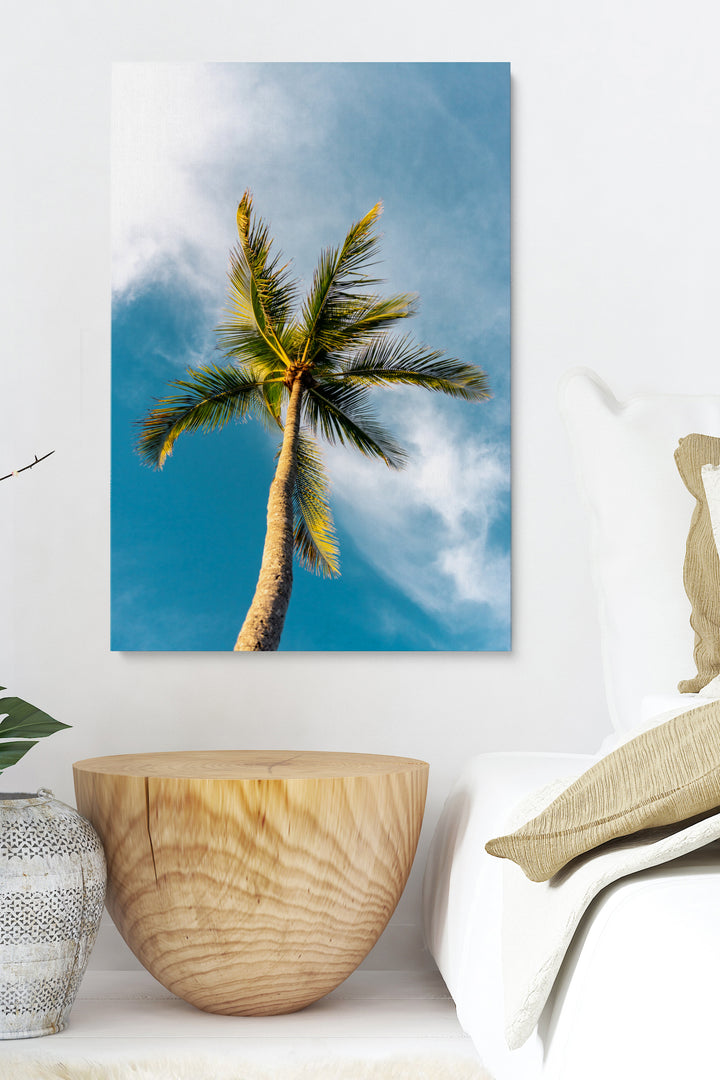 Unter der Palme