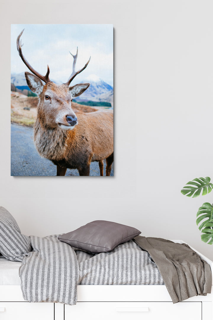 Wilder Hirsch
