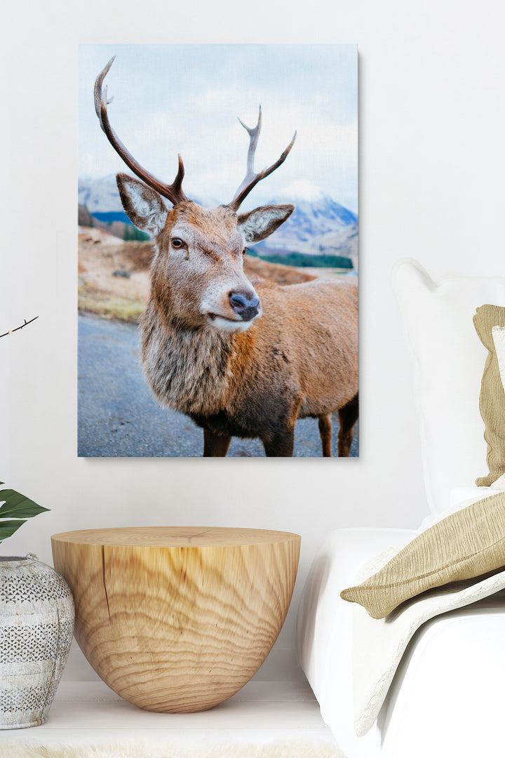 Wilder Hirsch