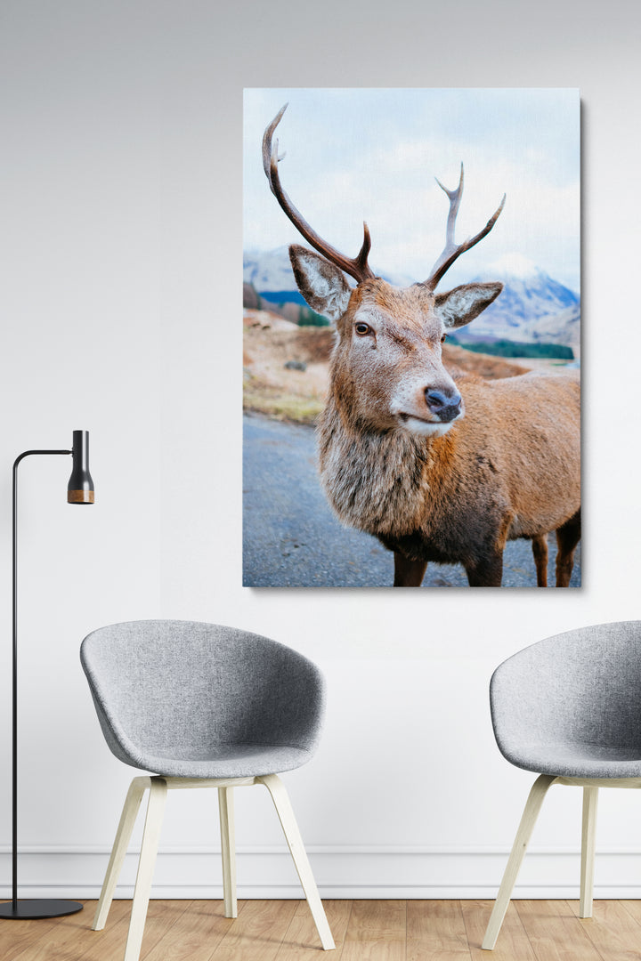 Wilder Hirsch